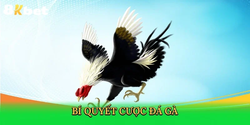 bi-quyet-cuoc-da-ga-4