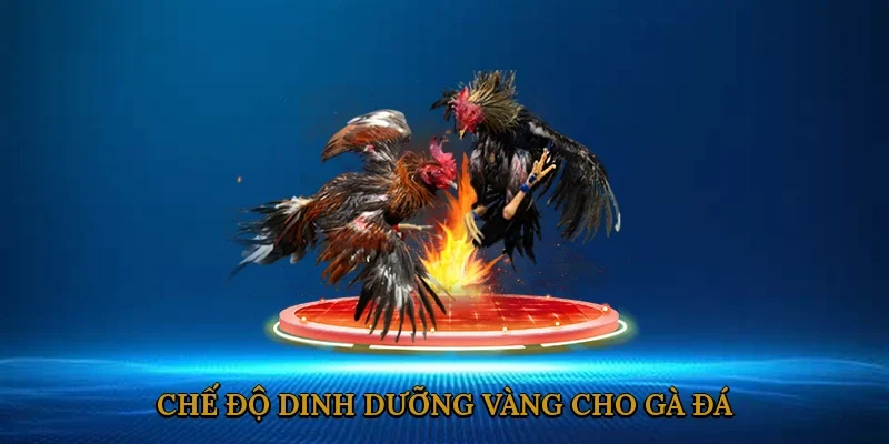 che-do-dinh-duong-vang-cho-ga-da-3