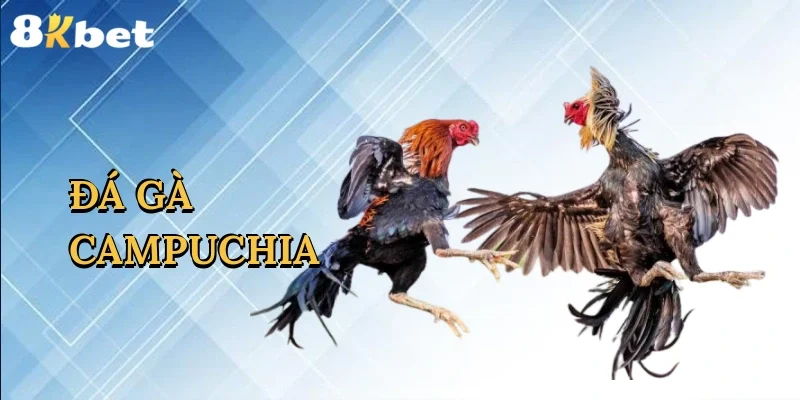 da-ga-campuchia-1