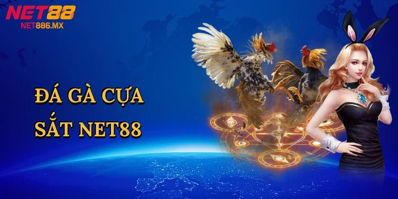 da-ga-cua-sat-net88-1