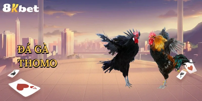 da-ga-thomo-1