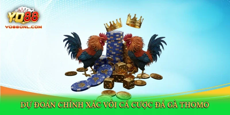 Dự đoán chính xác với chiến thuật cá cược đá gà thomo