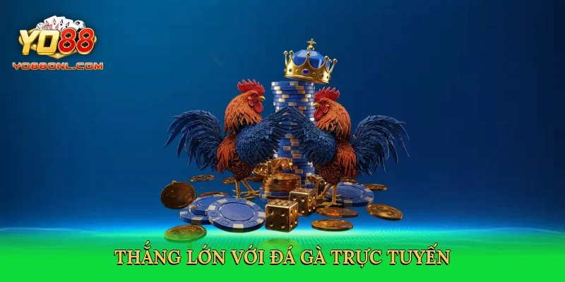 Thắng lớn với đá gà trực tuyến