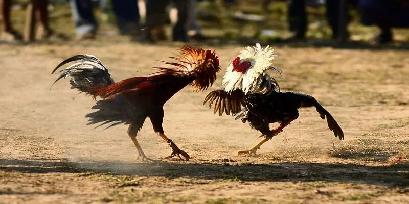 Thời điểm cần canh chuẩn