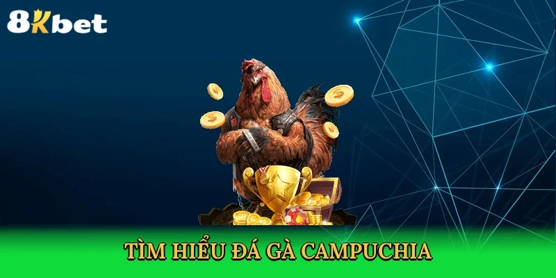 tim-hieu-da-ga-campuchia-2