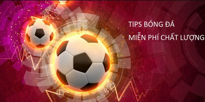 Tips bóng đá tại WIN79 được chọn lọc phù hợp